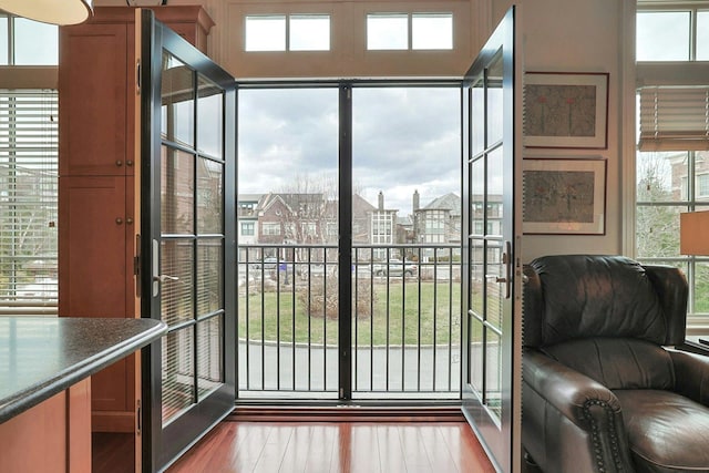 doorway featuring plenty of natural light and wood-type flooring