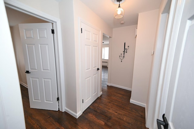 hallway featuring dark hardwood / wood-style flooring