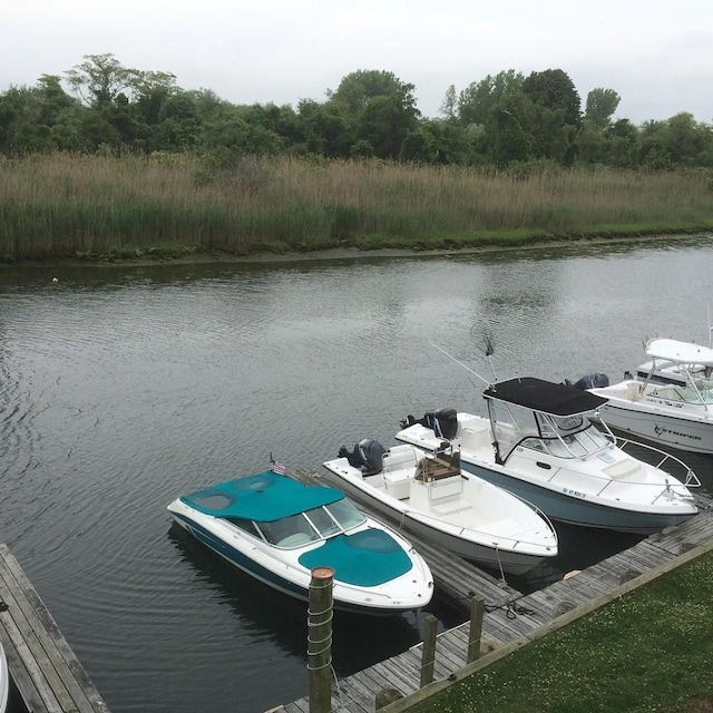 view of dock with a water view