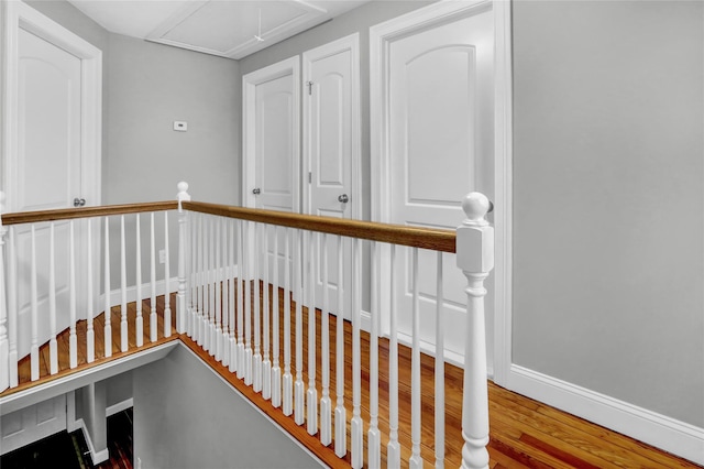 stairway with wood-type flooring