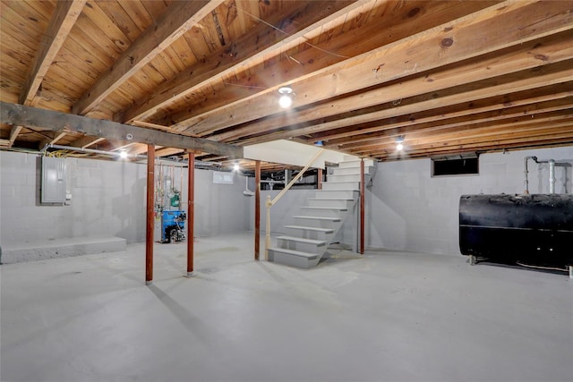 basement with electric panel