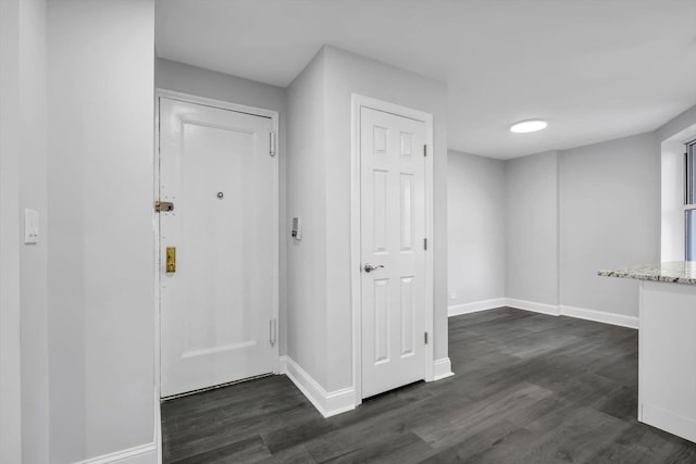 entryway featuring dark wood-type flooring