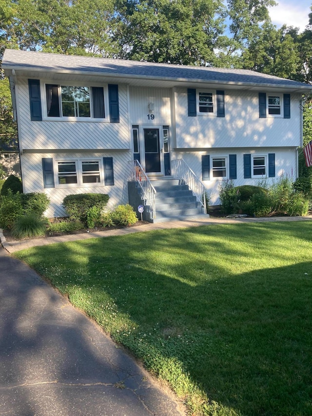 bi-level home with a front lawn