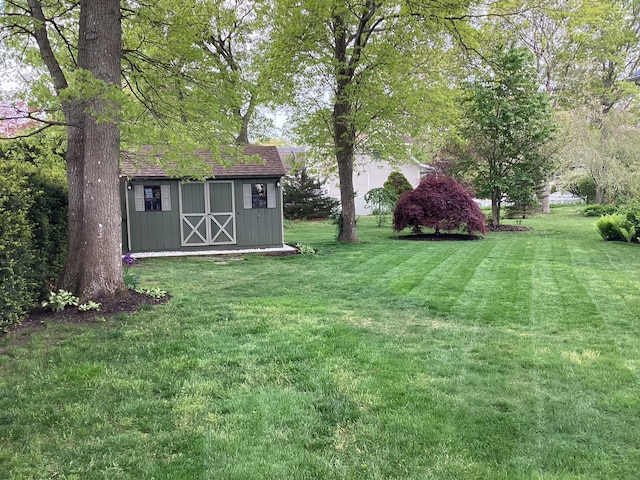 view of yard with a storage unit