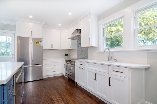 kitchen with exhaust hood, white cabinetry, sink, and stainless steel appliances