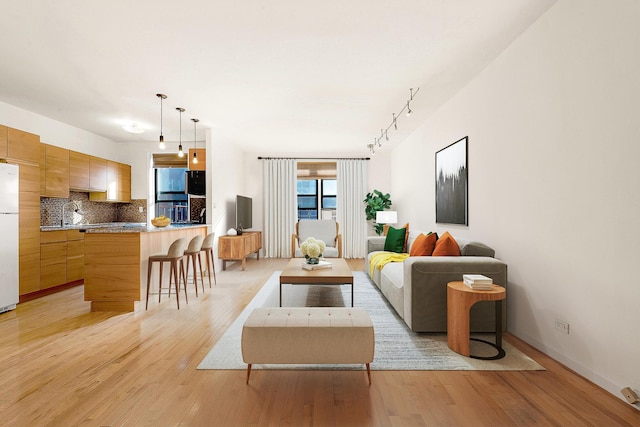 living room featuring light hardwood / wood-style floors