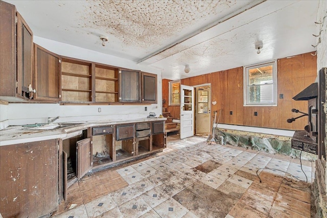 kitchen featuring wooden walls and sink