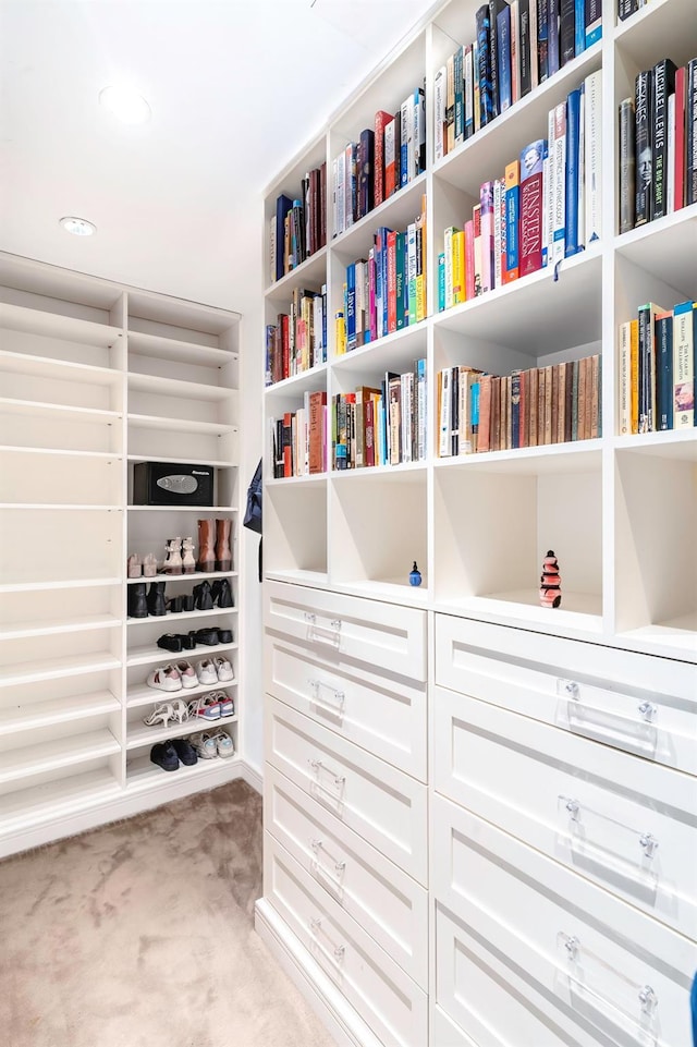 spacious closet featuring light colored carpet