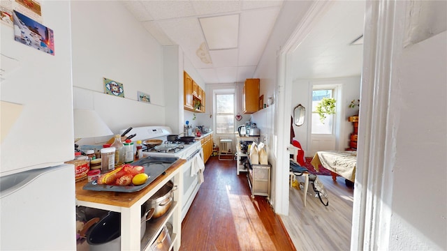 kitchen with radiator heating unit, white appliances, hardwood / wood-style flooring, and a drop ceiling