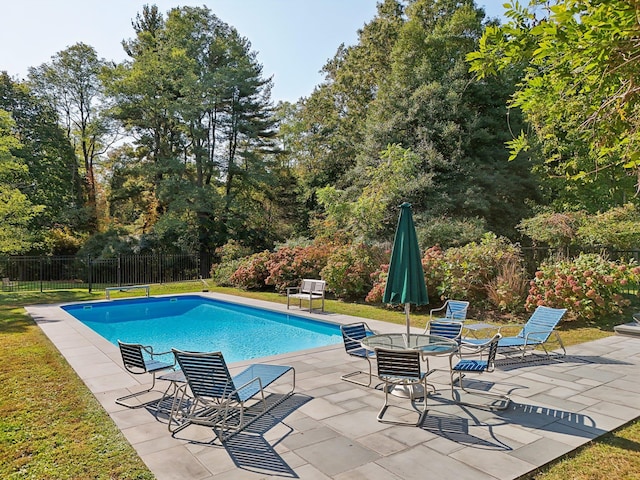 view of swimming pool featuring a patio