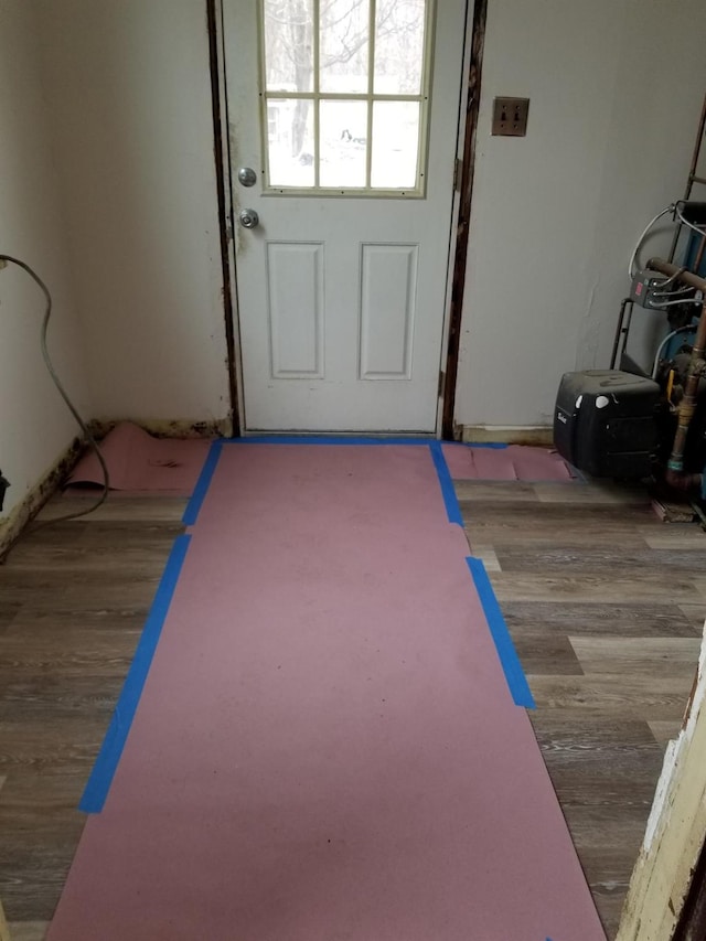 entryway featuring light hardwood / wood-style flooring