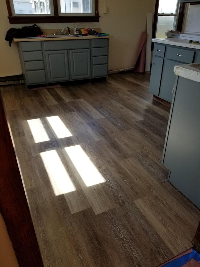 kitchen featuring dark hardwood / wood-style floors and sink