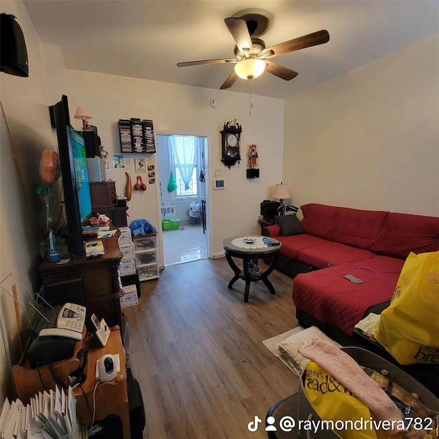 living room with hardwood / wood-style floors and ceiling fan