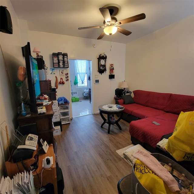 living room with ceiling fan and wood-type flooring