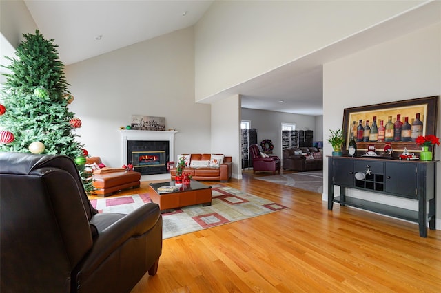 living room with a fireplace, hardwood / wood-style flooring, and vaulted ceiling