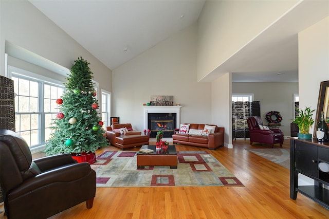 living room featuring light wood-type flooring and high vaulted ceiling