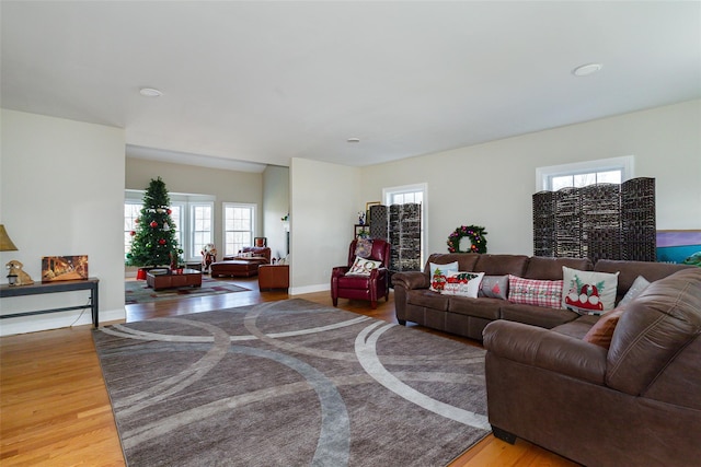 living room with hardwood / wood-style floors