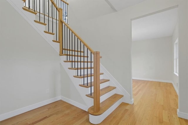 staircase with hardwood / wood-style flooring