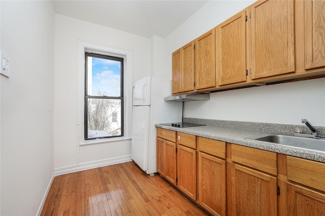 kitchen with black electric stovetop, sink, white fridge, and light wood-type flooring