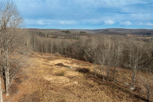 TBD Yaun Rd, Livingston Manor NY, 12758 land for sale