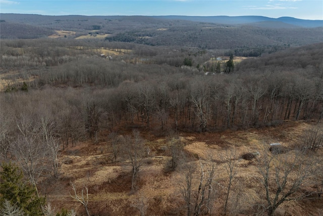 Listing photo 2 for TBD Yaun Rd, Livingston Manor NY 12758