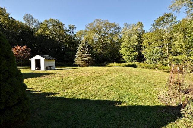 view of yard featuring a storage unit