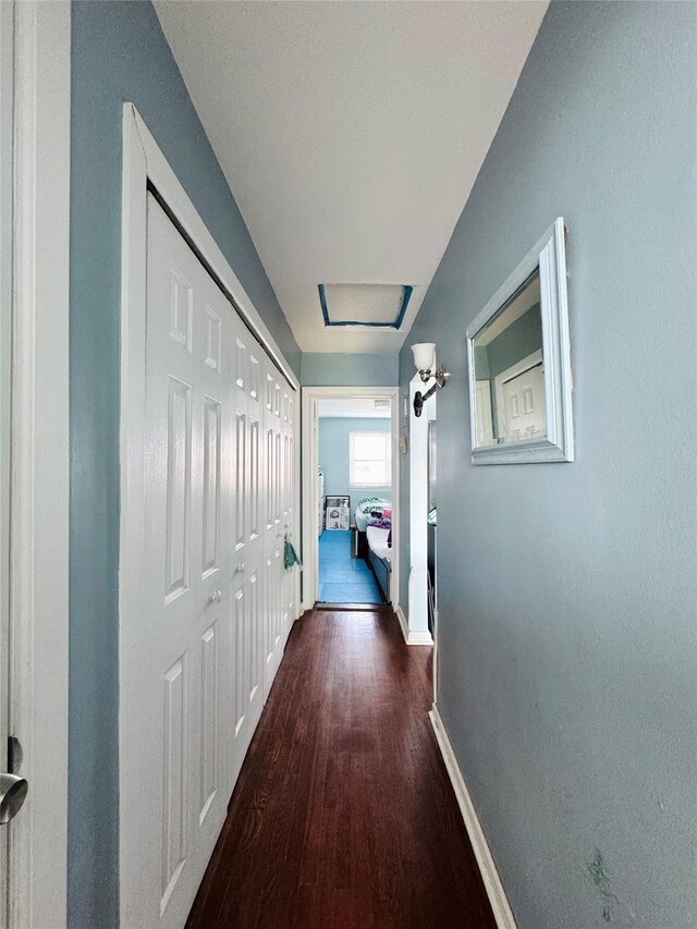 hallway featuring dark hardwood / wood-style flooring