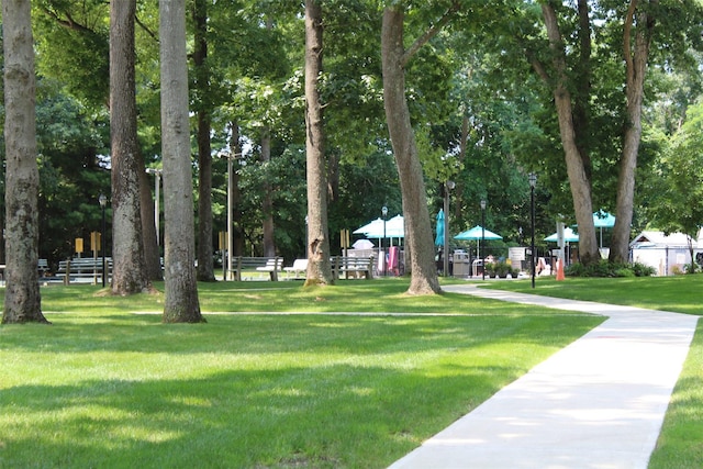 view of home's community with a yard