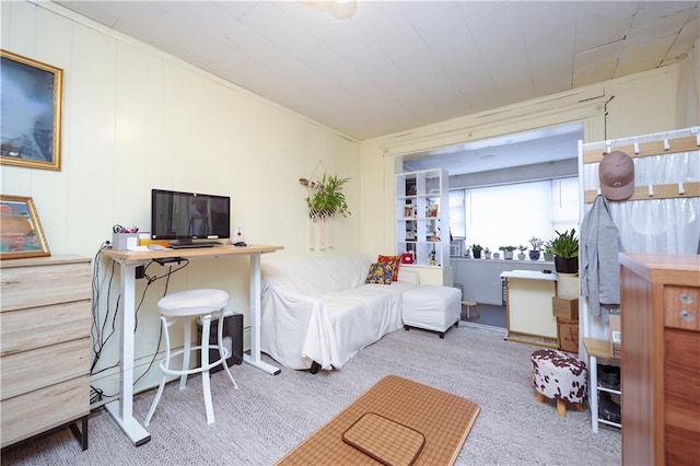 bedroom featuring carpet floors