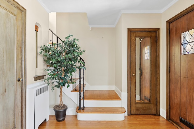 entryway with light hardwood / wood-style floors, radiator heating unit, and crown molding