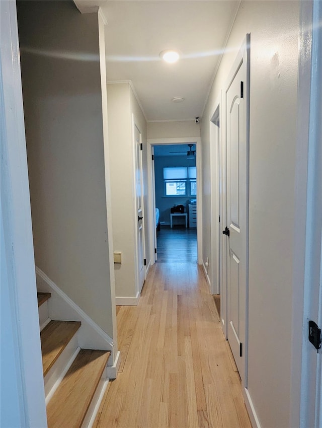 hallway featuring crown molding and light hardwood / wood-style floors