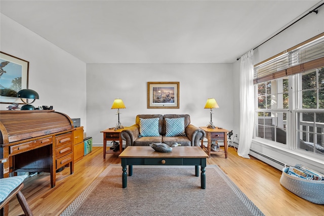 living room with hardwood / wood-style flooring