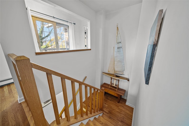 stairway with wood-type flooring