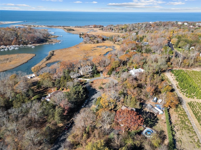 drone / aerial view featuring a water view