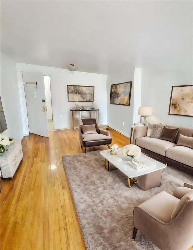 living room featuring light hardwood / wood-style floors