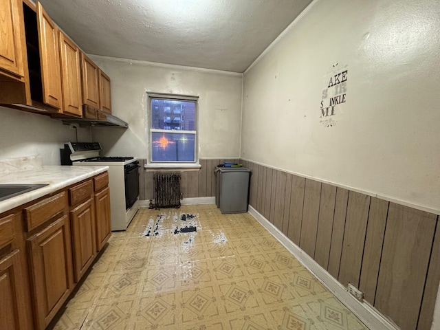 kitchen with a textured ceiling and white gas stove