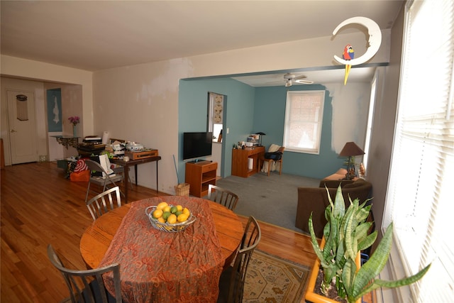 dining space with hardwood / wood-style flooring, ceiling fan, and plenty of natural light