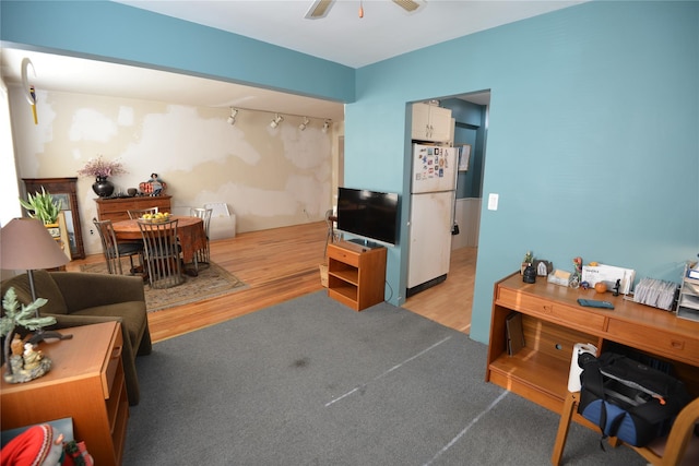 living room with ceiling fan and light wood-type flooring