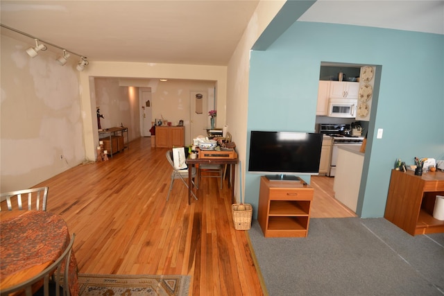 living room with light hardwood / wood-style flooring and rail lighting