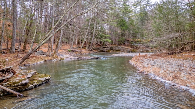 view of water feature