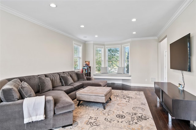 living room featuring crown molding and dark wood-type flooring