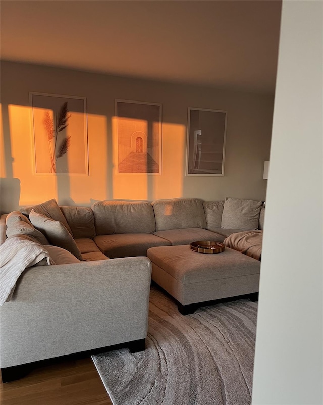 living room featuring hardwood / wood-style floors