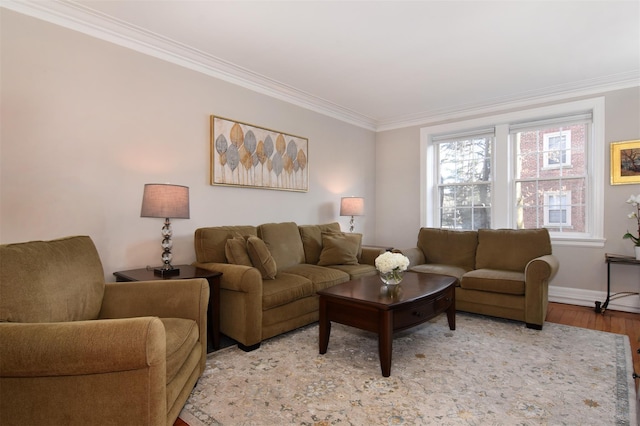 living room with crown molding and light hardwood / wood-style flooring