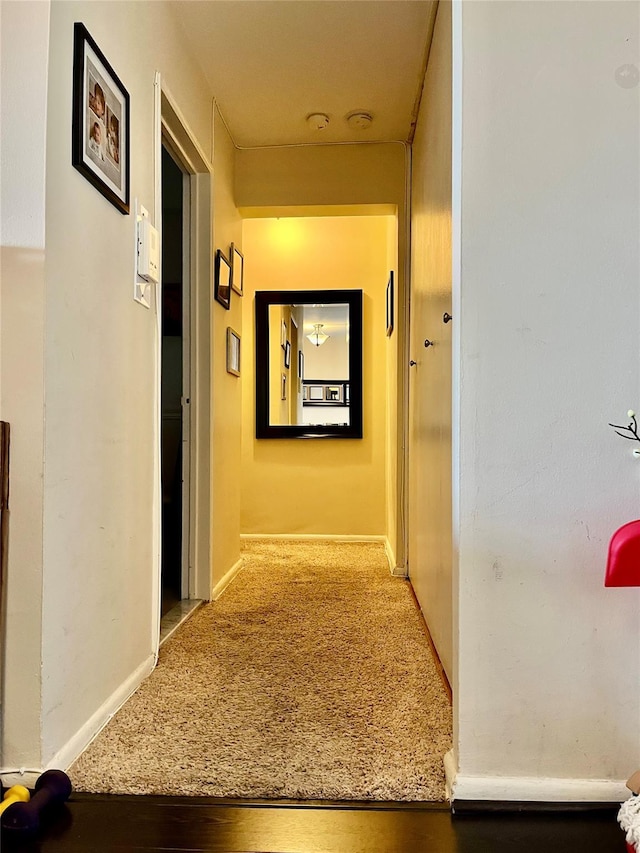 hallway featuring carpet floors