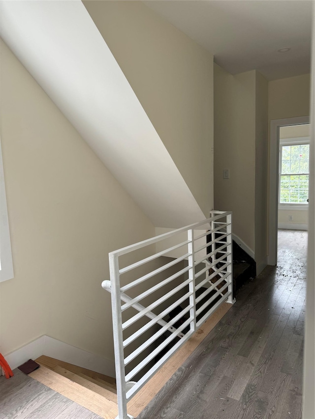 stairway with wood-type flooring