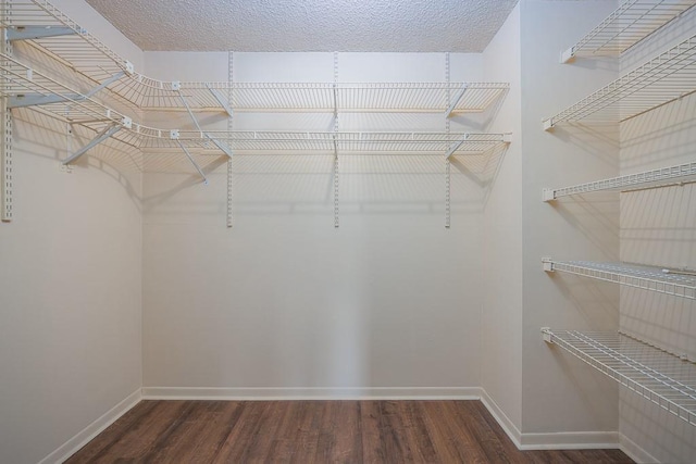 walk in closet with dark hardwood / wood-style floors