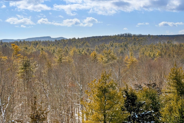 property view of mountains
