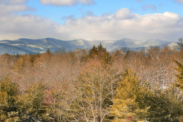 mountain view