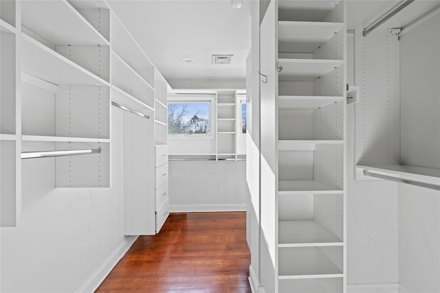 spacious closet with dark wood-type flooring