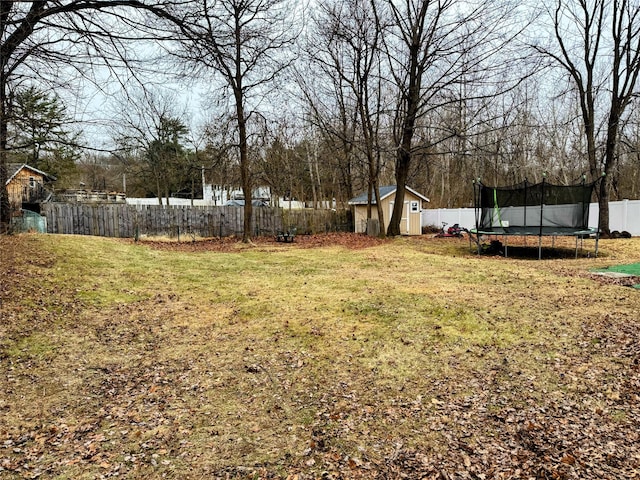 view of yard with a trampoline and a storage unit